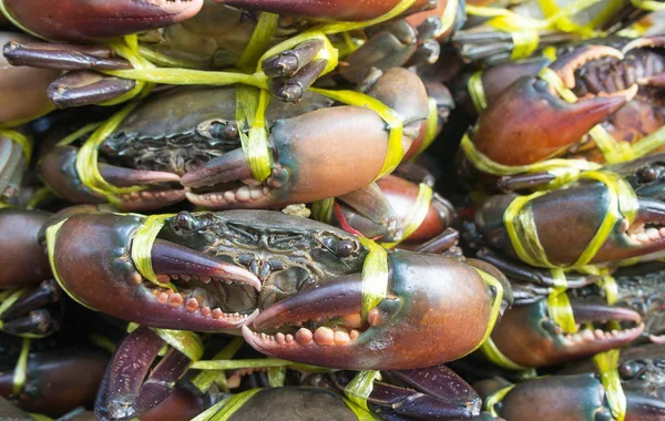 Krabbenfang Muss Auf Dem Markt Verbindlich Sein Die Meeresfrüchte Die — Stockfoto