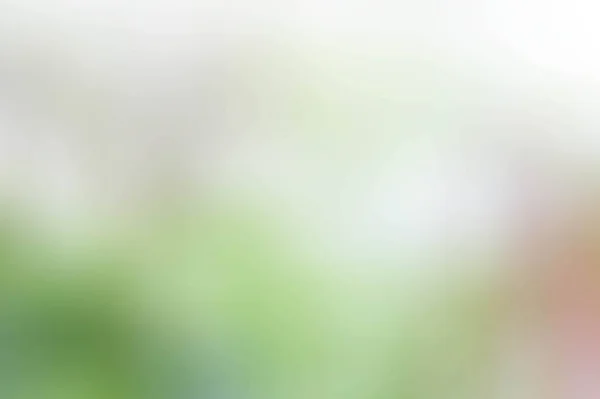 テクスチャぼかし色グリーン スタイル 背景日光抽象 — ストック写真