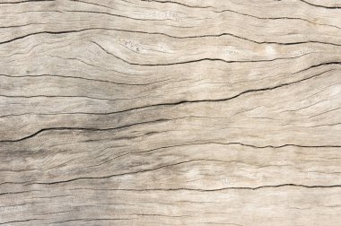 Ahşap meşe eski tarzı doku, ahşap eski kirli arka plan 