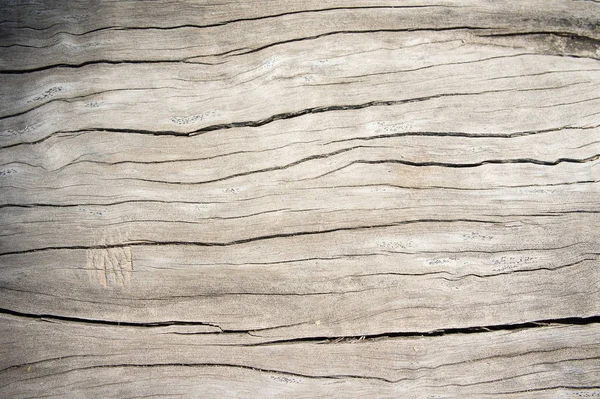 Textuur van hout eiken oudere stijl, houten oude vuile achtergrond — Stockfoto