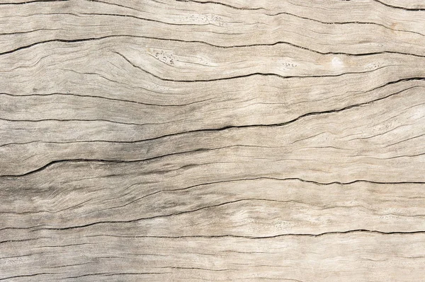 Textura madera roble estilo más antiguo, fondo madera viejo sucio — Foto de Stock