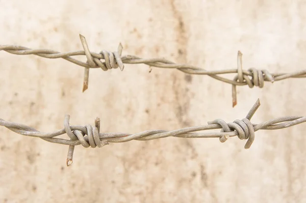 Barbed wire on the wall or protected territory. — Stock Photo, Image