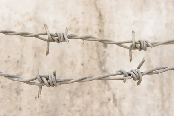 Barbed wire on the wall or protected territory. — Stock Photo, Image