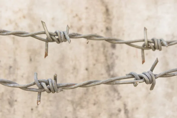 Barbed wire on the wall or protected territory. — Stock Photo, Image