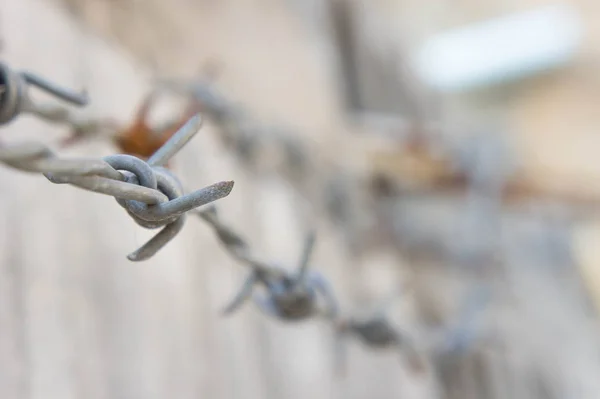 Barbed wire on the wall or protected territory. — Stock Photo, Image