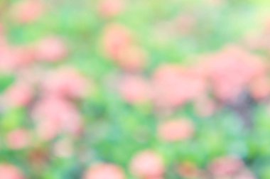 Doku blur renk arka plan, soyut mix doğa bulanıklık