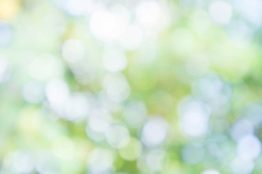 Doku bokeh yeşil arka plan bulanıklık