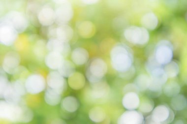 Doku bokeh yeşil arka plan bulanıklık