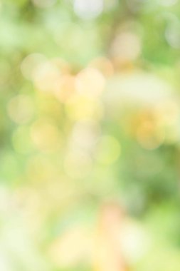 Doku bokeh yeşil arka plan bulanıklık