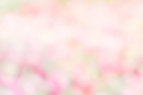 Astratto natura colorato sfocatura sfondo colore rosa verde giallo pastello colore — Foto Stock