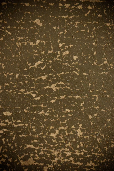 Eski doku kabuğu deri arka plan 