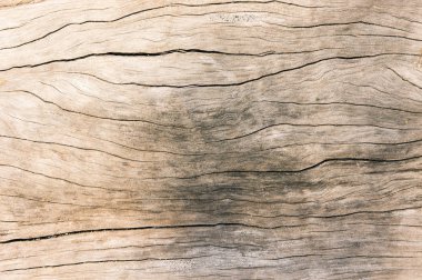 Doku eski ahşap, kirli yüzey ahşap arka plan, Parke 