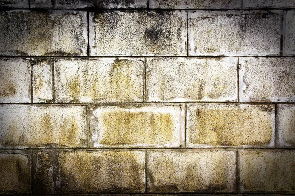Textura gris sucio cemet brock fondo de la pared — Foto de Stock
