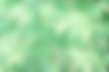 doku doğa renk karıştırmak yeşil ve beyaz arka plan, doğal arka plan