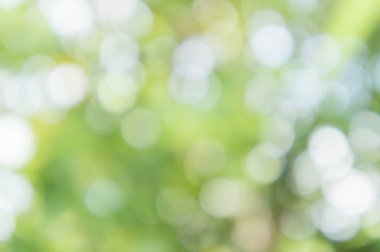 soyut doku doğa yeşil renk ve bokeh doğa arka plan bulanıklık