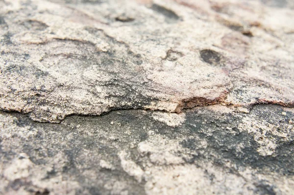 Textura Fondo Arenisca Arenisca Piedra Natural Caracteriza Por Gran Suelo — Foto de Stock
