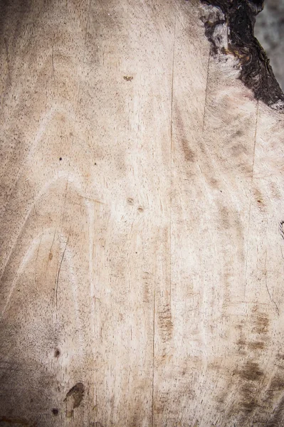 Textur Holz Hintergrund Grundlegende Klassische Holzstil Für Schreibtisch Oder Fußboden — Stockfoto