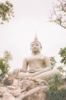 Loei Thani, Tayland Thailand, 24st Ağustos 2017, Wat Tay, Loei il ormanda büyük Buda görüntü Budist insanlar zihin öğedir.