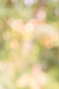 soyut doku doğa yeşil renk ve bokeh doğa arka plan bulanıklık 