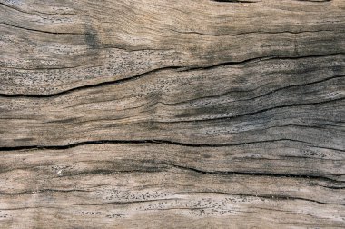 Doku eski ahşap, kirli yüzey ahşap arka plan, Parke