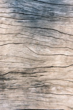 Doku eski ahşap, kirli yüzey ahşap arka plan, Parke