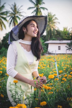 güzel kadın Asya tarzı sarı çiçek bahçesi ve seyir gülümseme mutlu zaman gününde
