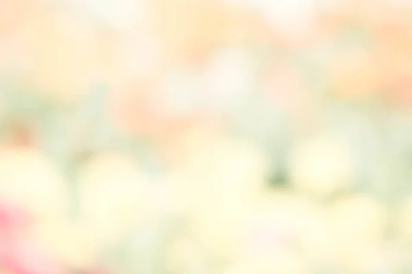Abstrakt Natur Färgglada Oskärpa Bakgrunden Färgen Rosa Grön Gul Vit — Stockfoto
