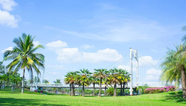 Ubicación en el parque, puente y palmeras al aire libre en el parque — Foto de Stock