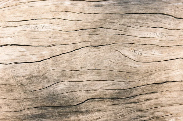오래 된 나무, 더러운 표면 나무 배경, 나무 질감 — 스톡 사진