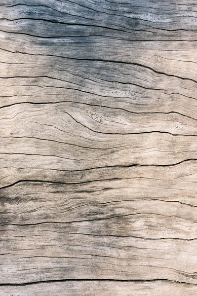 Textura madera vieja, fondo de madera de la superficie sucia, madera dura — Foto de Stock