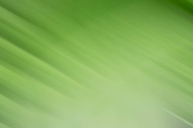 yeşil renk bulanık kara zemin biçimi