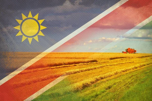 Namibia jordbruk, skörda grödor — Stockfoto