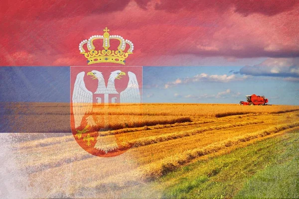 塞尔维亚农业，收割庄稼 — 图库照片