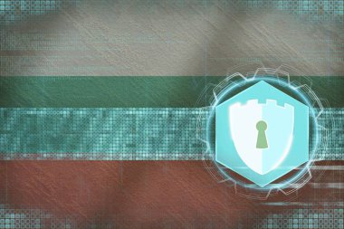 Ekvador ordu, askeri kuvvetler