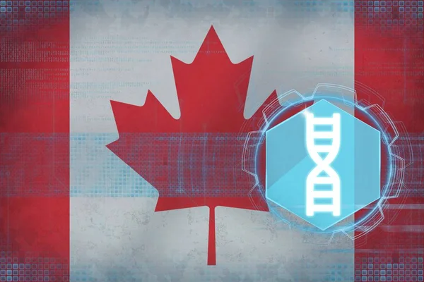 Canadá engenharia genética. Conceito de ADN . — Fotografia de Stock