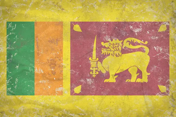 Grunge Srí Lanka zászló textúra-kő — Stock Fotó