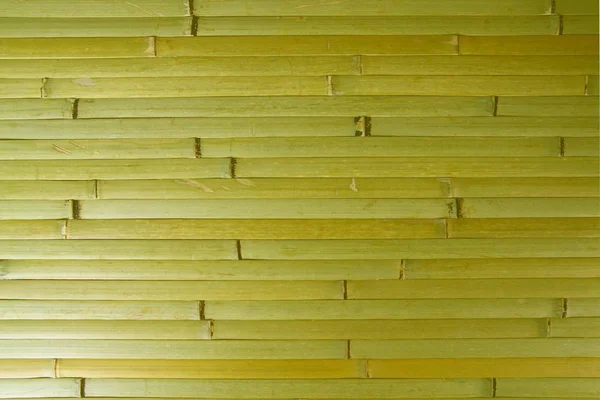 Green bamboo texture — Stock Photo, Image