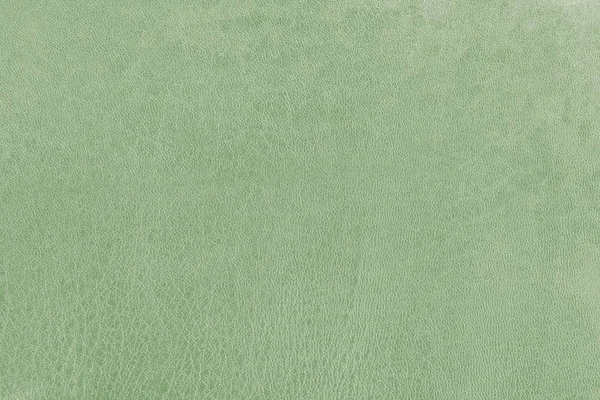 Зеленая ретро кожа — стоковое фото