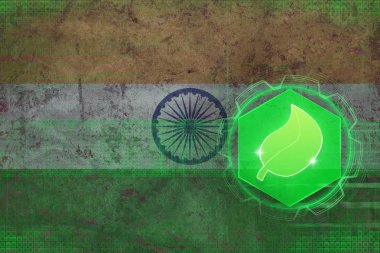 Hindistan ekoloji. Çevre koruma kavramı.