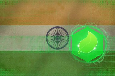 Hindistan ekoloji. Çevre koruma kavramı.