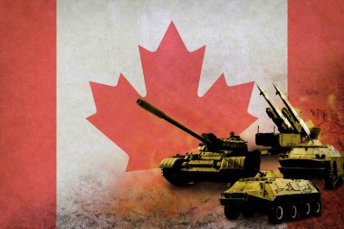 Kanada Ordusu, askeri kuvvetler