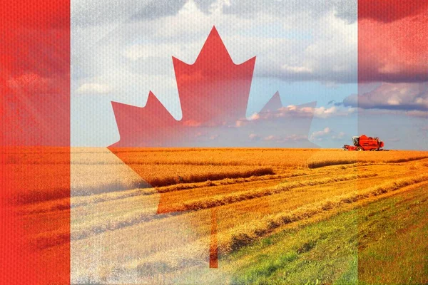 Canadá agricultura, cosecha de cultivos — Foto de Stock
