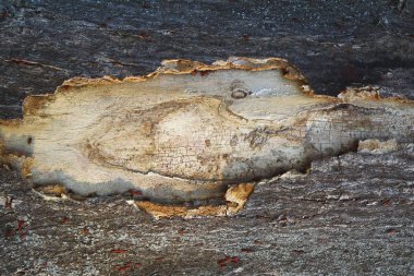 Retro kırık ahşap hata doku ile