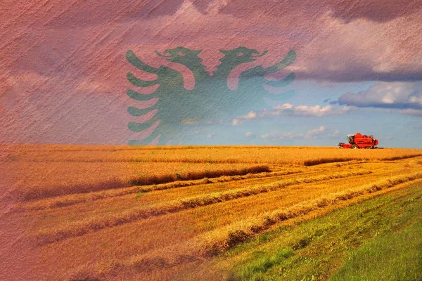 Албанія сільського господарства, збирання зернових — стокове фото