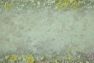 Grunge moss beton doku