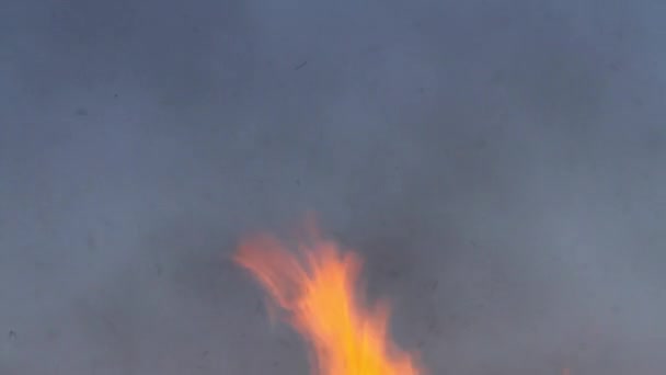 Flammes de feu sur le fond du ciel bleu — Video