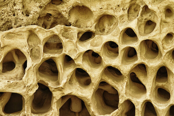 Ветер размыл желтую известняковую гору с большим количеством маленьких отверстий
