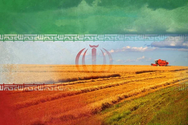 Irán agricultura, cosecha de cultivos — Foto de Stock