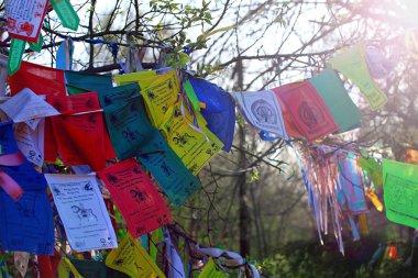 Om mani padme hum mantra ile Budizm dua bayrakları lungta