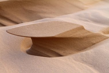 Wind erosion on the sand created these formations clipart
